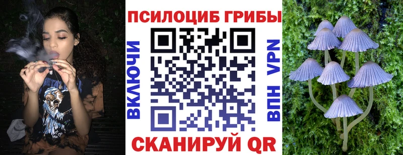как найти наркотики  Луховицы  ОМГ ОМГ ТОР  Галлюциногенные грибы прущие грибы 