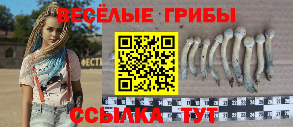 наркошоп  Галлюциногенные грибы Psilocybe  Псилоцибиновые грибы Magic Shrooms  Вход с VPN  Луховицы 